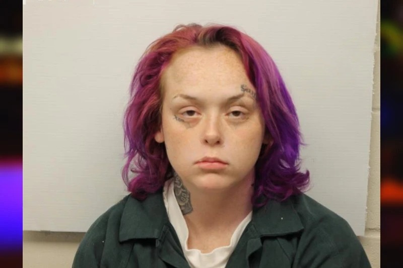 Madison Sherlin Mugshots