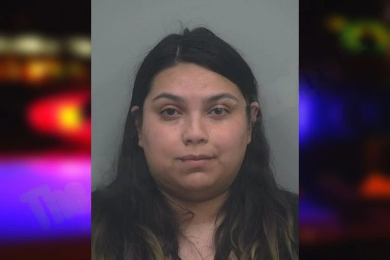 Magali Orrostieta mugshot – Henry County , Georgia Magali Orrostieta
