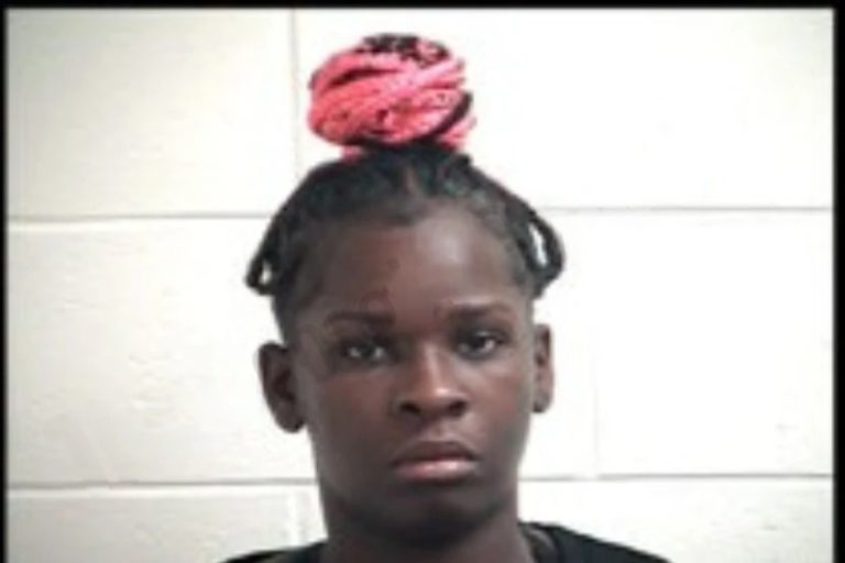 Makayla Love mugshot – Henry County , Georgia Makayla Love