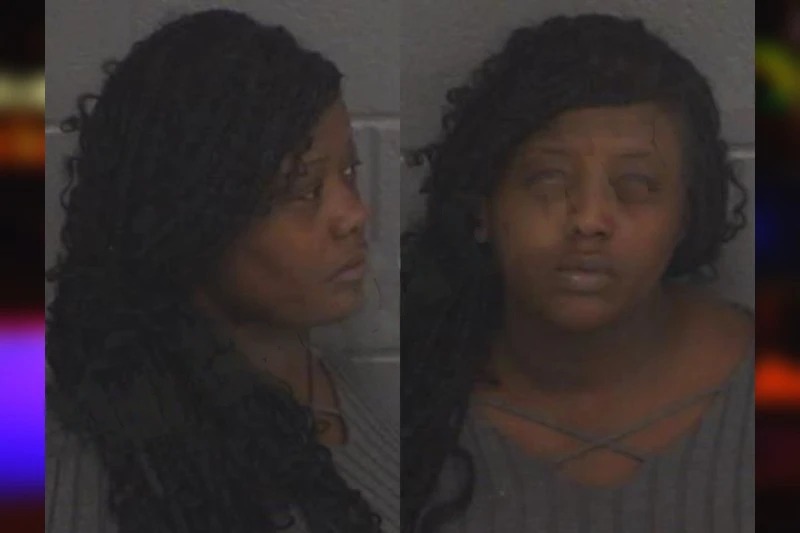 Malinda Irvin mugshot – Barrow County , Georgia Malinda Irvin mugshot