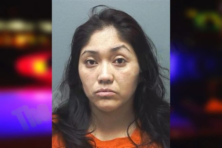 Maria Castro mugshot – Cherokee County , Georgia Maria Castro