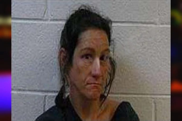 Maria Crocker mugshot – Polk County , Georgia Maria Crocker
