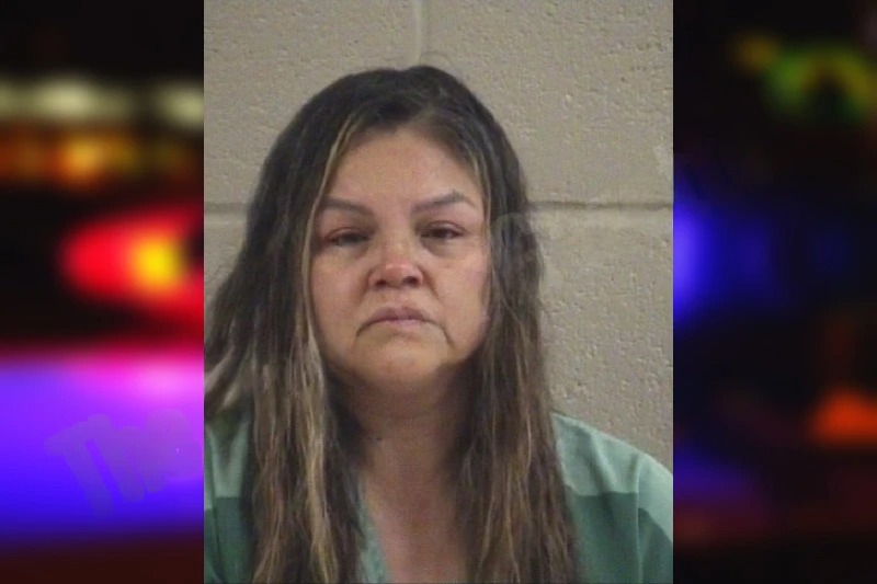 Maria Estrada Mugshots