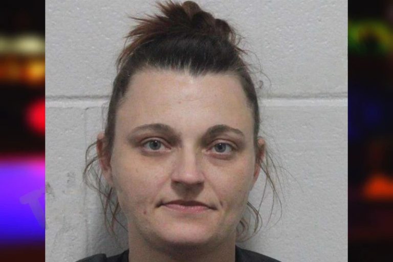 Marina Whitaker mugshot – Habersham County , Georgia Marina Whitaker