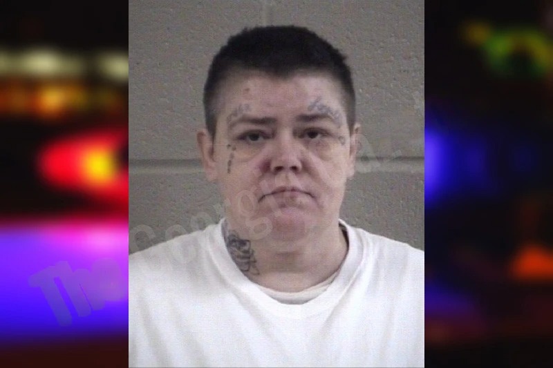 Mary Chaffin Mugshots