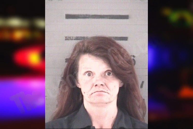 Mary Guzman-Alvarez Mugshots