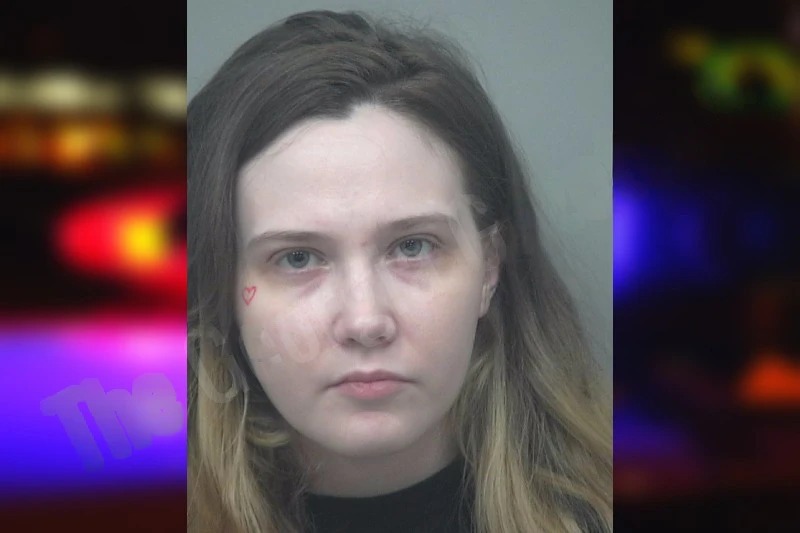 Mary Johnson mugshot – Gwinnett County , Georgia Mary Johnson mugshot