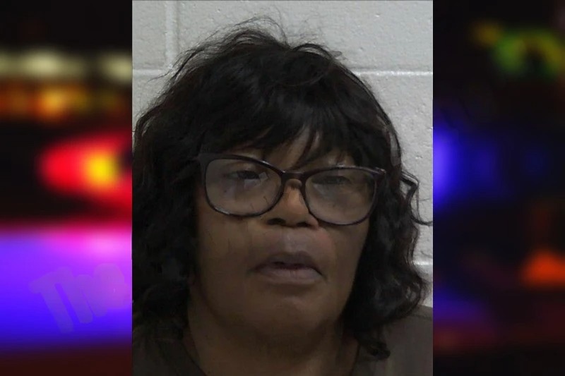 Mary Perkins Mugshots