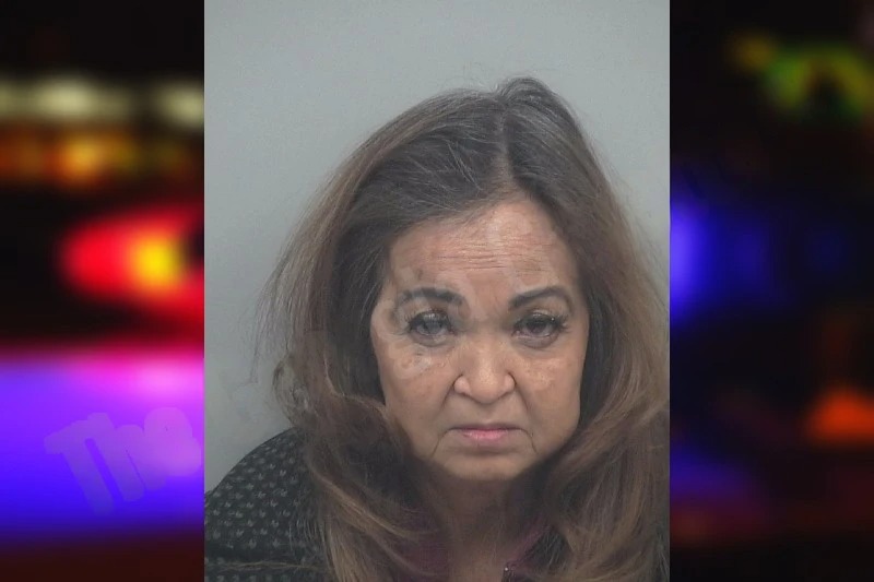 Mary Rizzo mugshot – Gwinnett County , Georgia Mary Rizzo mugshot