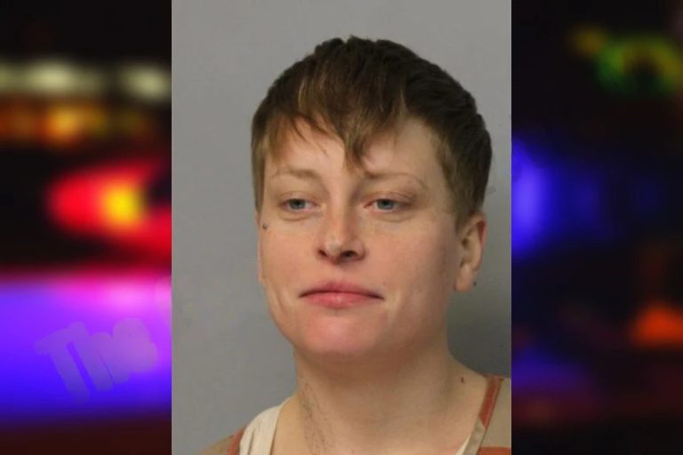 Mattaline Patterson mugshot – Hall County , Georgia Mattaline Patterson