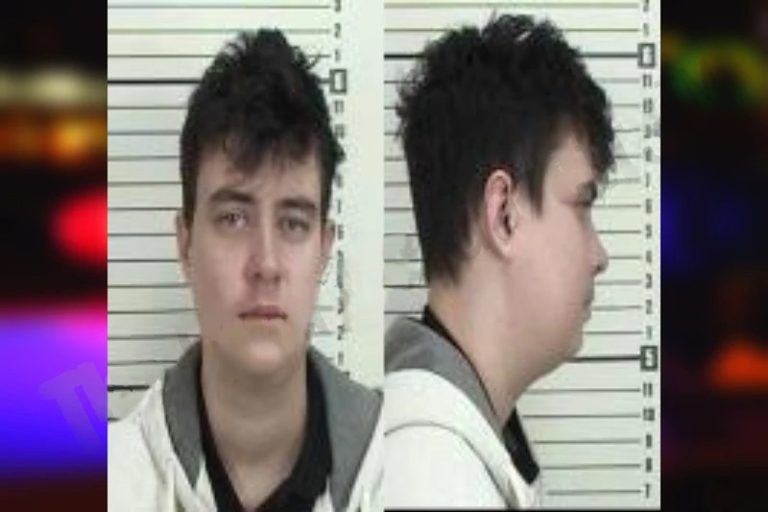 Matthew Dellinger mugshot – Camden County , Georgia Matthew Dellinger