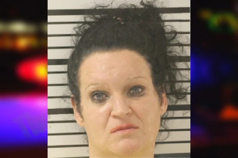 Megan Erhard mugshot – Toombs County , Georgia Megan Erhard mugshot