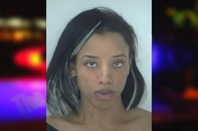 Megan Jones Mugshots