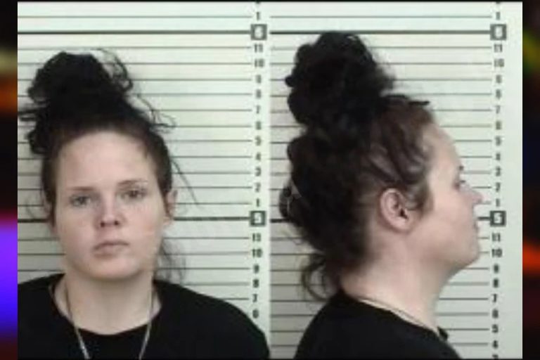 Megan Robison mugshot β Camden County , Georgia Megan Robison