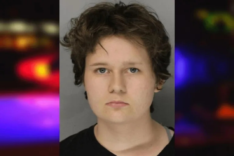 Megan Williams mugshot – Hall County , Georgia Megan Williams