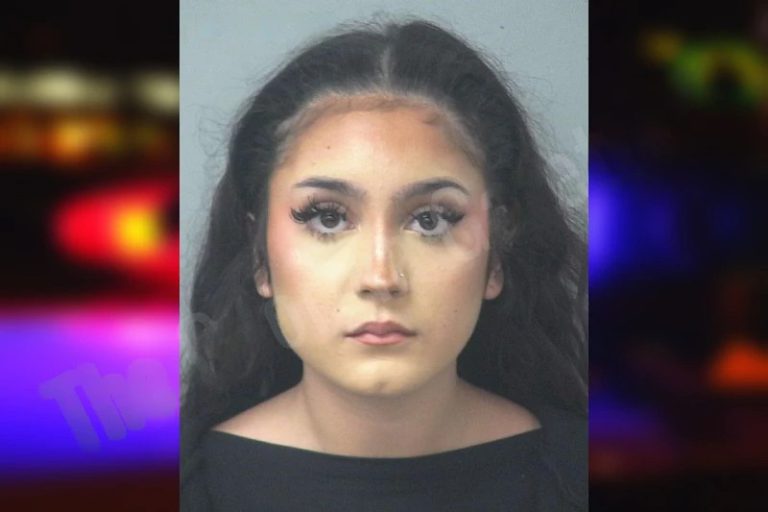 Melanie Barbera mugshot – Gwinnett County , Georgia Melanie Barbera