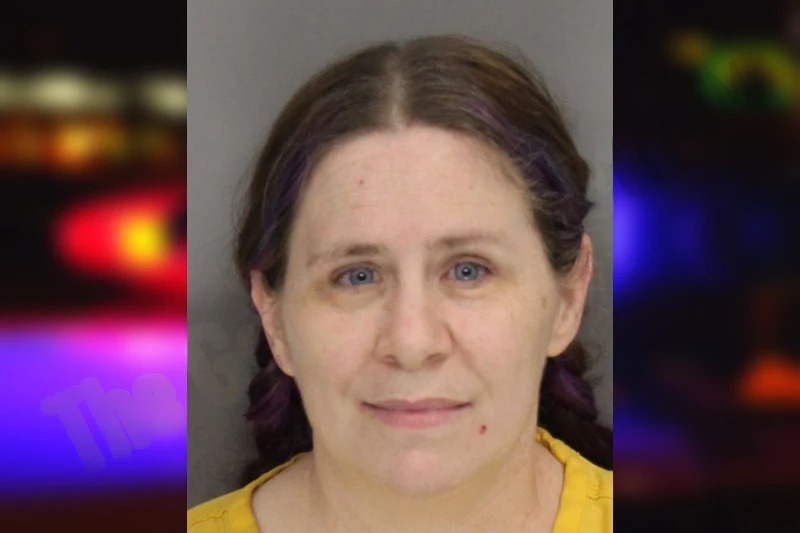 Melanie Hale Mugshots