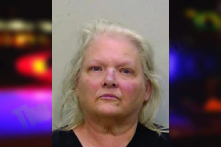 Melanie McDermott mugshot – Bartow County , Georgia Melanie McDermott