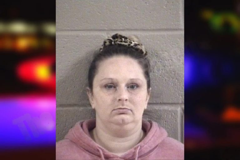 Melanie Sanders mugshot – Whitfield County , Georgia Melanie Sanders