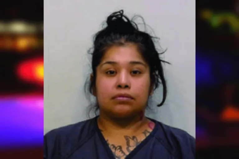 Melinda Felix mugshot – Bartow County , Georgia Melinda Felix