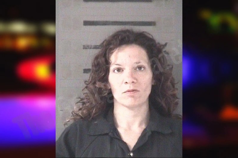 Melinda Weldon mugshot – Dougherty County , Georgia Melinda Weldon mugshot