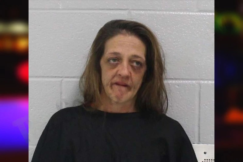 Melissa Beaudette Mugshots