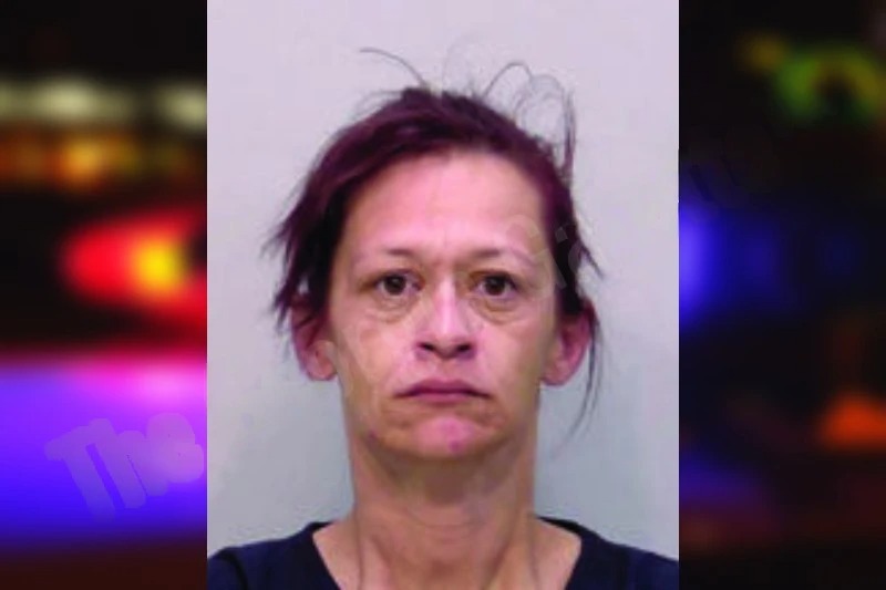 Melissa Gentry mugshot – Bartow County , Georgia Melissa Gentry mugshot