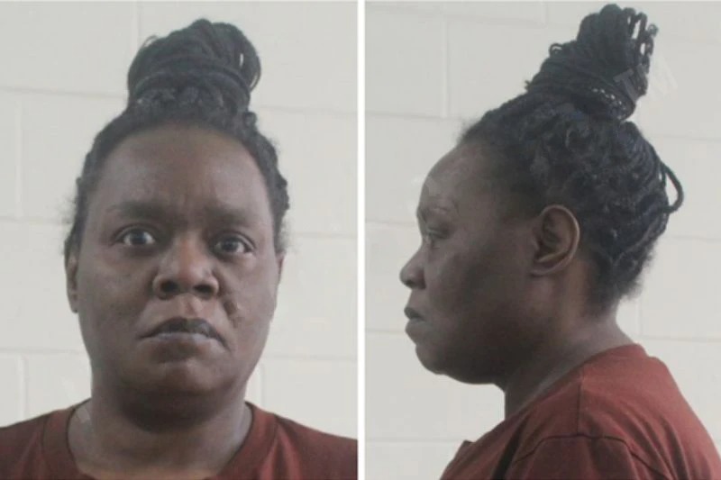 Melissa Gibson Mugshots