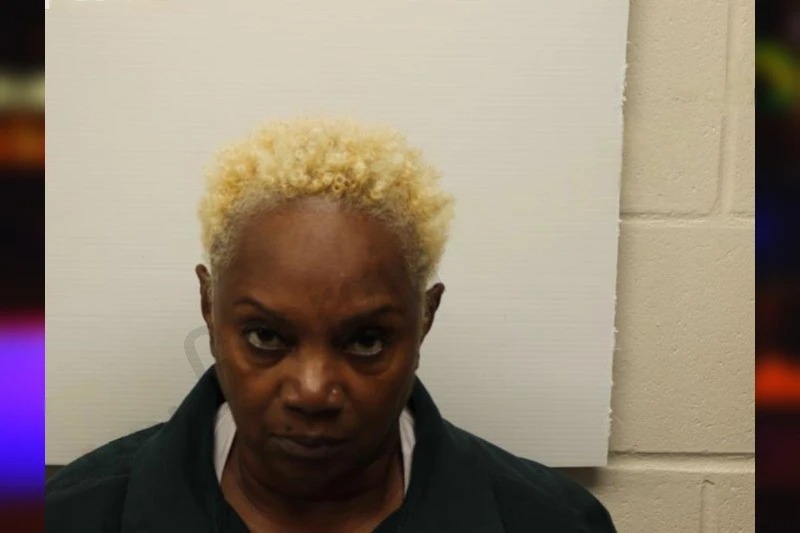 Melissa James Mugshots