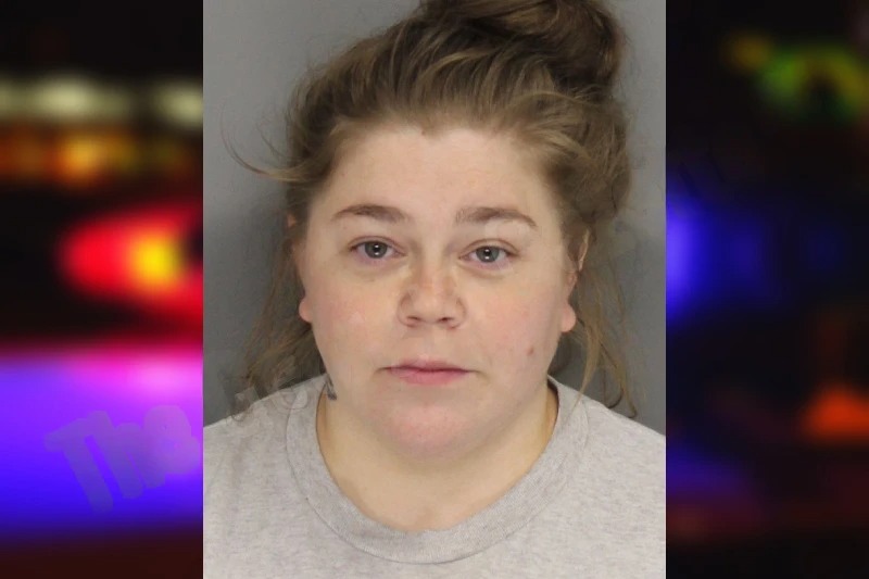 Melissa Seevers mugshot