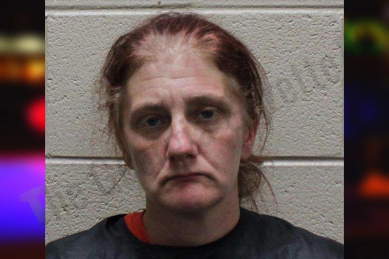 Melissa Thayer Mugshots