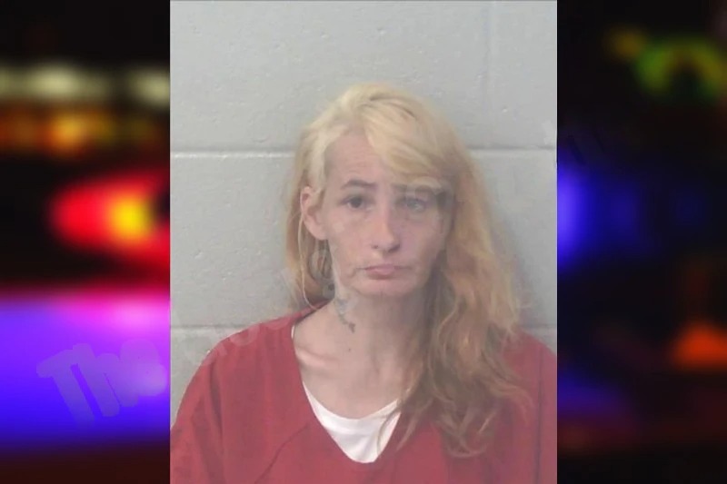 Mellisa Mattheus mugshot