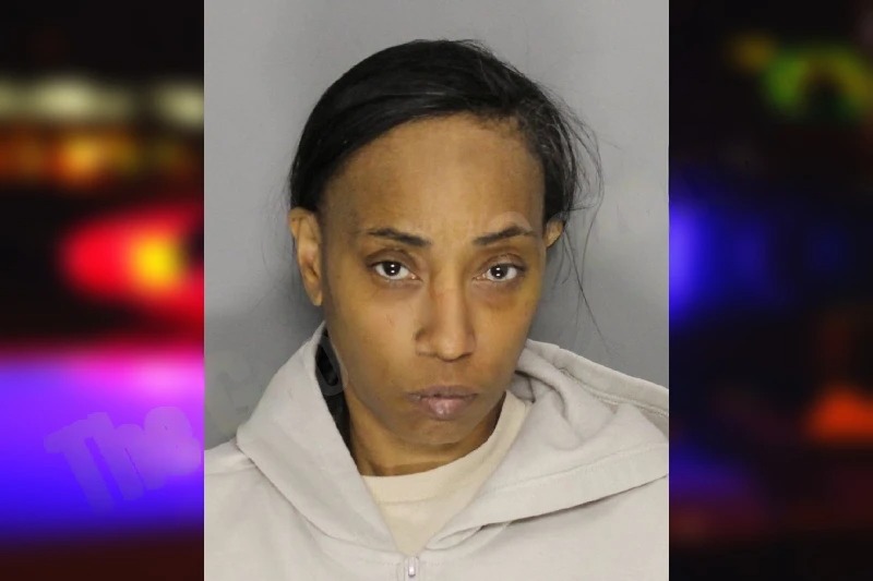 Meonda Lewis Mugshots