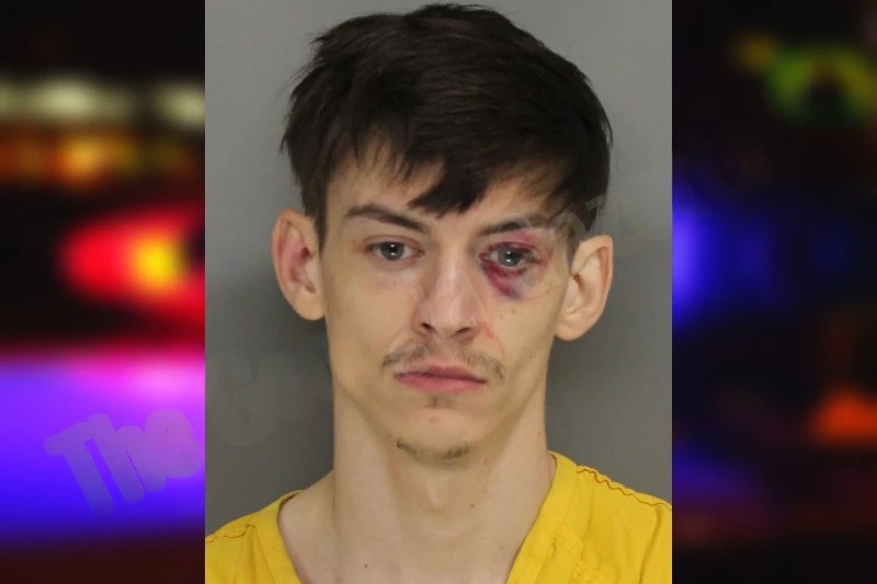 Michael Daniel Mugshots