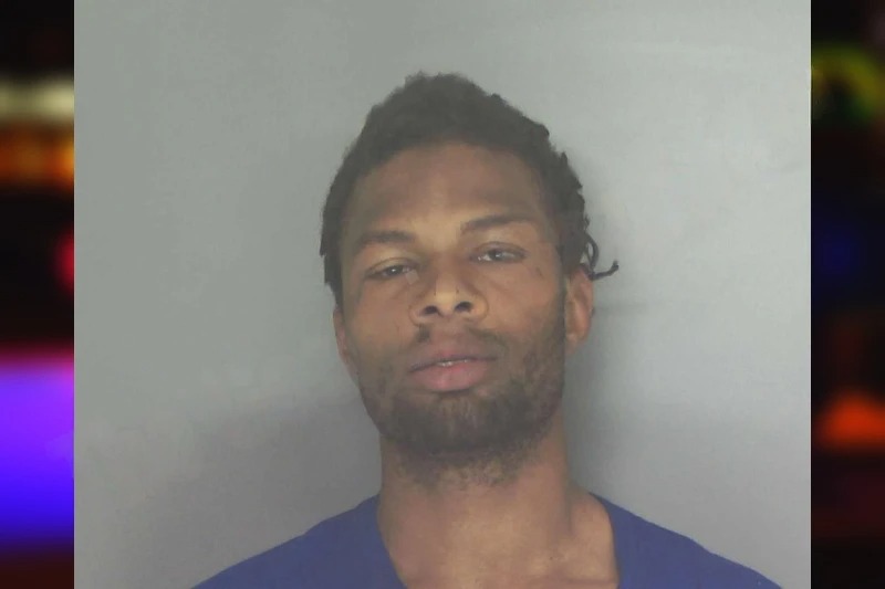 Michael Johnson mugshot