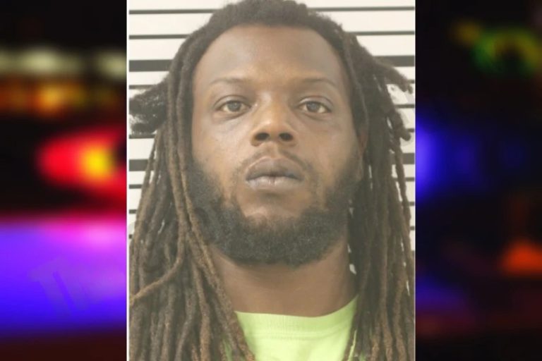 Michael Martin mugshot – Toombs County , Georgia Michael Martin