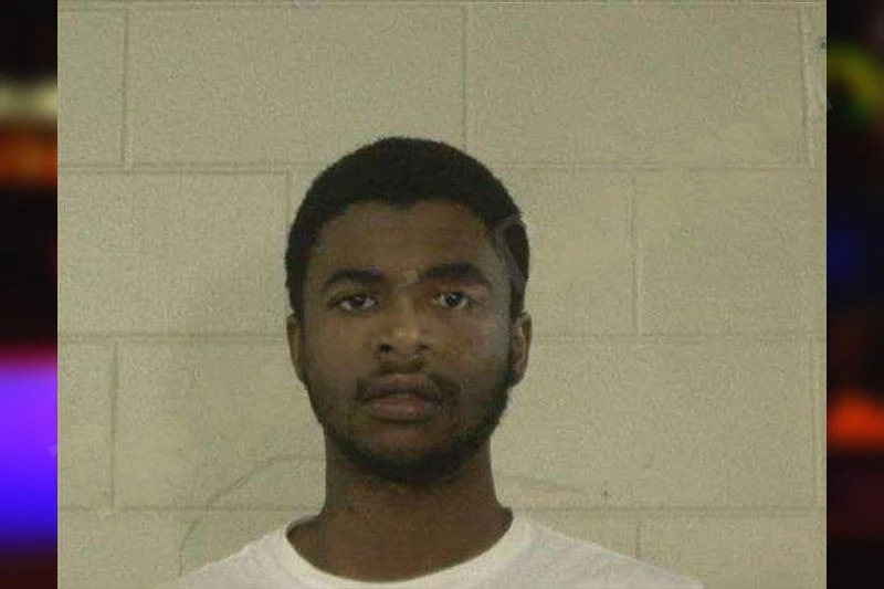 Michael Springs mugshot