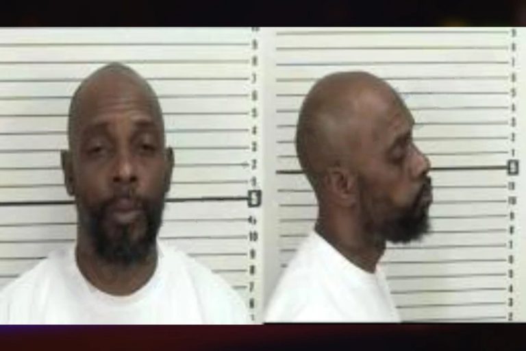 Micheal Neal mugshot – Camden County , Georgia Micheal Neal