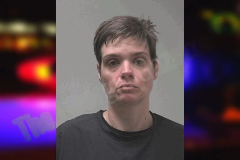 Michele Nickels-Dart mugshot – Coweta County , Georgia Michele Nickels-Dart