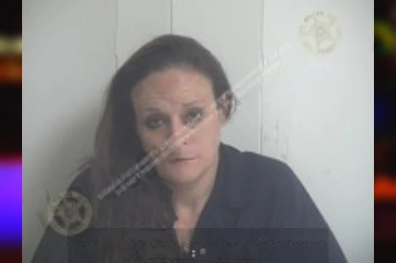 Michelle Collins Mugshots