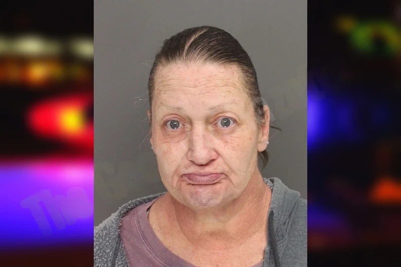 Michelle Darnell Mugshots