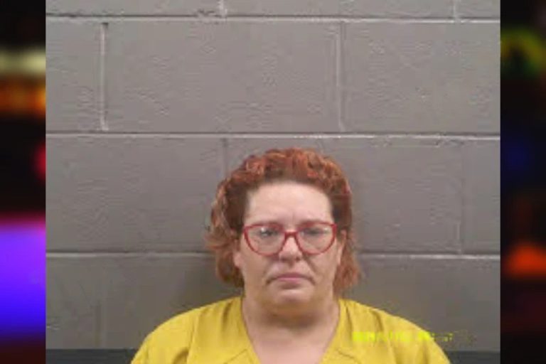 Michelle Downs mugshot – Banks County , Georgia Michelle Downs