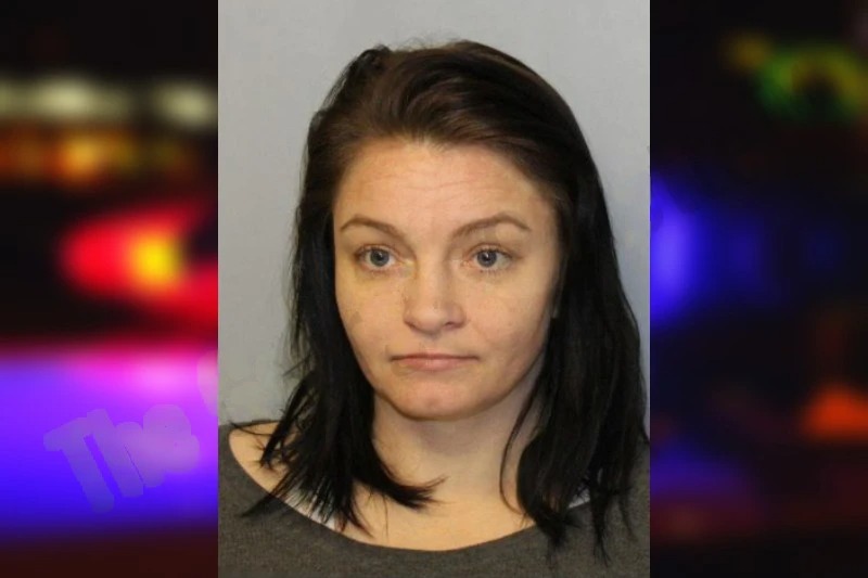 Michelle Frady mugshot – Hall County , Georgia Michelle Frady mugshot