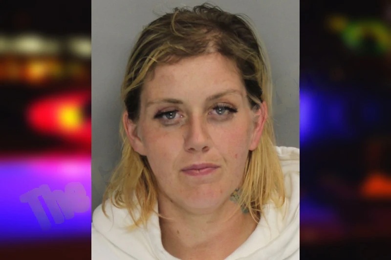 Michelle Hayes Mugshots