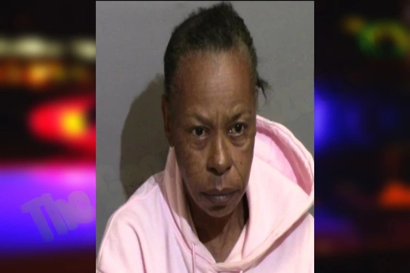 Michelle Roberson mugshot – Glynn County , Georgia Michelle Roberson mugshot