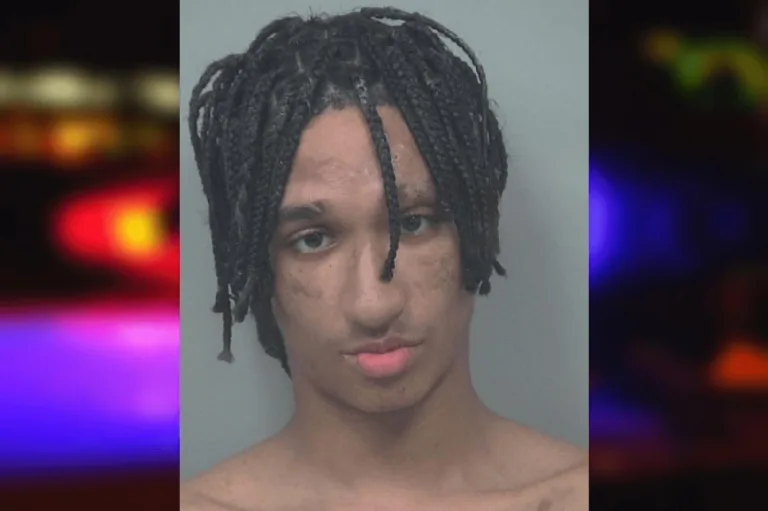 Mikey Romero mugshot – Gwinnett County , Georgia Mikey Romero