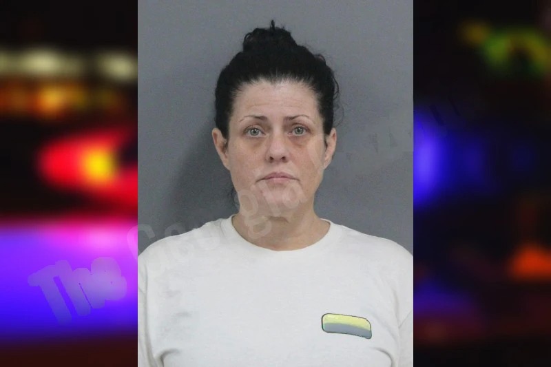 Mindy Burkett Mugshots