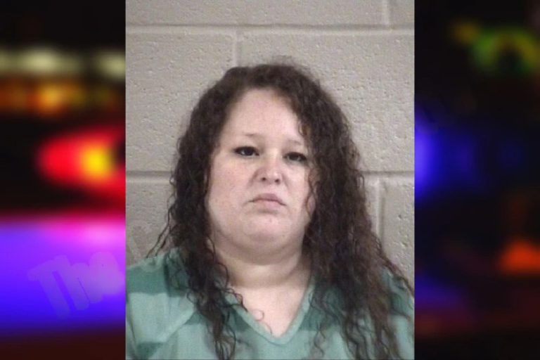 Miranda Hamby mugshot – Whitfield County , Georgia Miranda Hamby