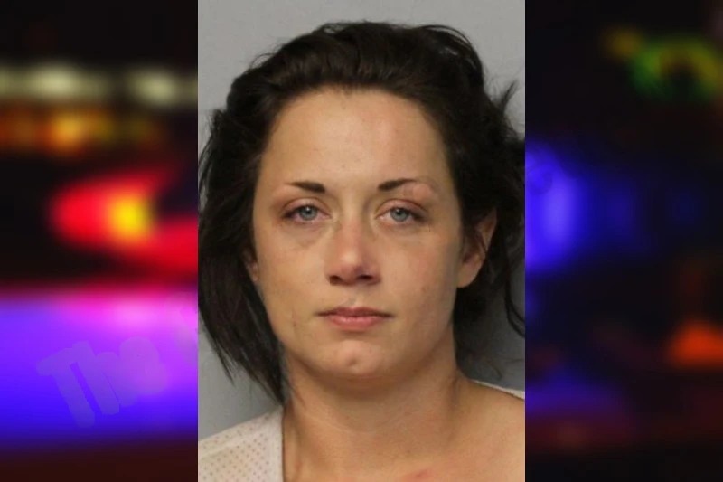 Miranda Young Mugshots