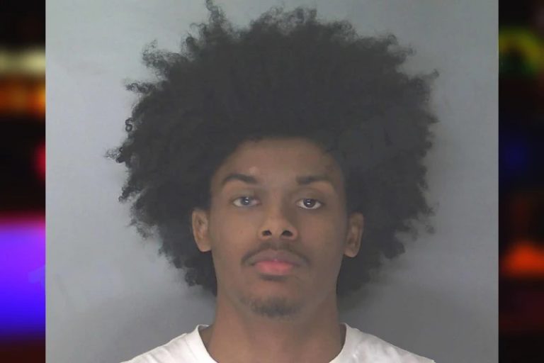 Mister Holliman mugshot – Douglas County , Georgia Mister Holliman